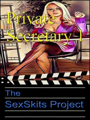 Book cover of Private Secretary 1
