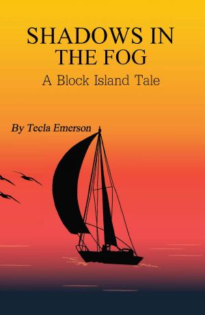 Book cover of Shadows in the Fog: A Block Island Tale