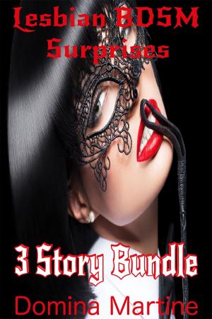 Book cover of Lesbian BDSM Surprises: 3 Story Bundle