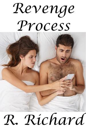 Cover of the book Revenge Process by Donna Wright
