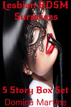 Cover of the book Lesbian BDSM Surprises: 5 Story Box Set by Domina Martine