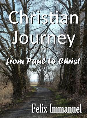 Cover of the book Christian Journey by Ann Moore