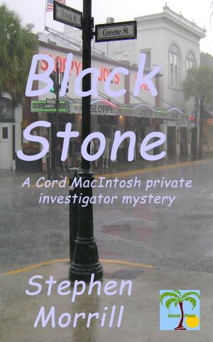 Book cover of Black Stone