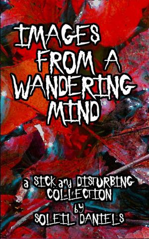 bigCover of the book Images from a Wandering Mind by 