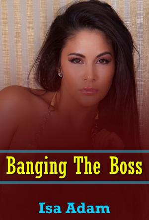 Cover of the book Banging The Boss by Anna Fock
