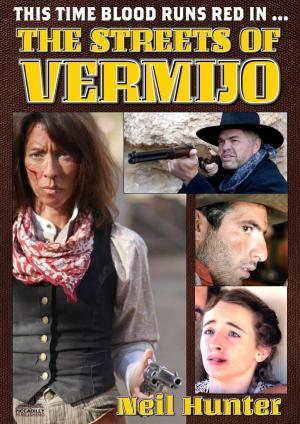 Cover of the book The Streets of Vermijo by John J. McLaglen