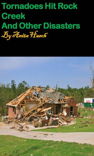Cover of the book Tornadoes Hit Rock Creek by Anita Hasch
