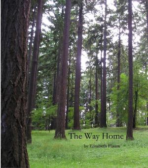 Cover of the book The Way Home by Roxy Stone