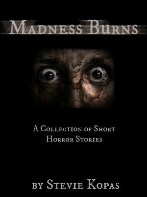 Book cover of Madness Burns