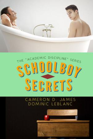 Cover of the book Schoolboy Secrets by Cameron D. James, Sandra Claire