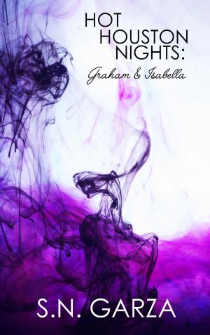 bigCover of the book Hot Houston Nights: Graham & Isabella Boxset by 