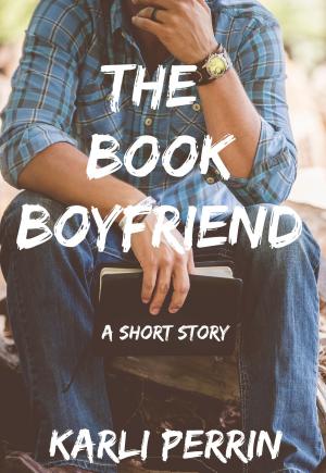 Book cover of The Book Boyfriend