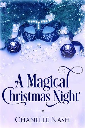 Book cover of A Magical Christmas Night