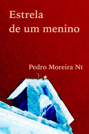 Cover of the book Estrela de um menino by Pedro Moreira Nt