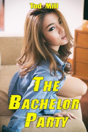 Cover of the book The Bachelor Party by Elizabeth de la Place