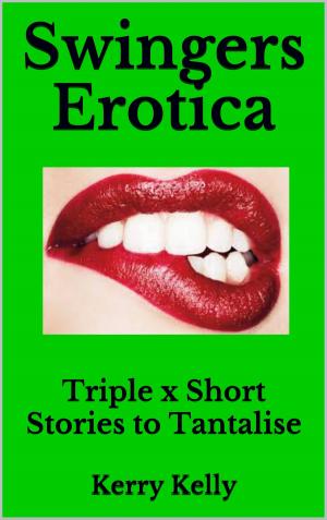 Book cover of Swingers Erotica: More Triple X Stories to Tantalise