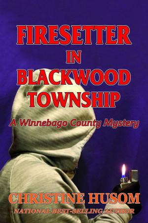 Cover of the book Firesetter in Blackwood Township, A Winnebago County Mystery by Erin  C. Mahoney