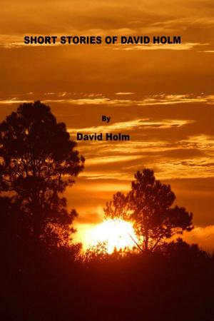 bigCover of the book Short Stories of David Holm by 