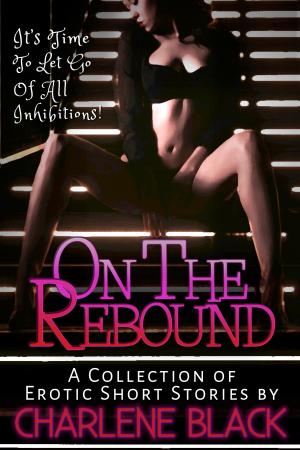 Cover of On the Rebound Box Set: A Collection of Erotic Short Stories