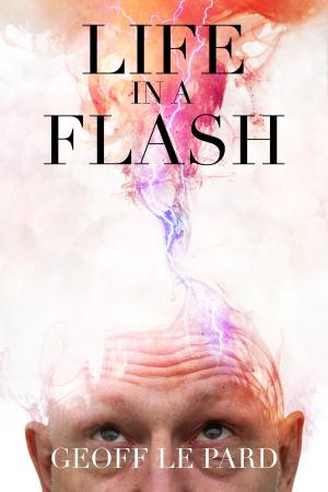 Book cover of Life In A Flash