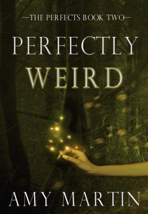 Cover of the book Perfectly Weird by Ahmari Das