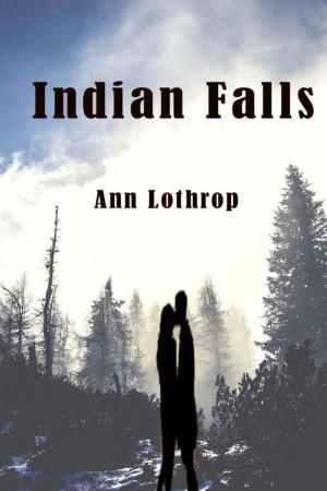 Cover of the book Indian Falls by Joan Silvetti