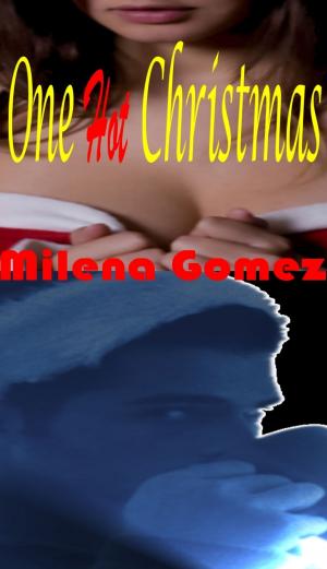 Cover of the book One Hot Christmas by Stephen Arseneault