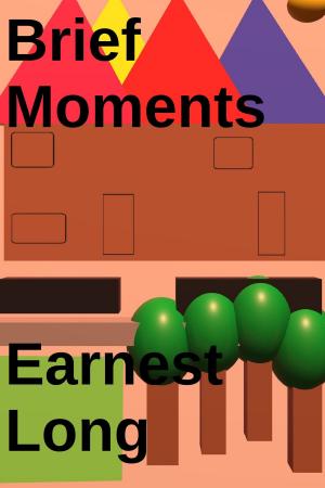 Cover of the book Brief Moments by Steve Lavigne