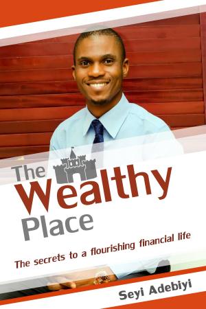 Cover of the book The Wealthy Place: The secrets to a flourishing financial life by Pat Edwards