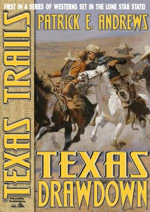 Cover of the book Texas Trails 1: Texas Drawdown by John J. McLaglen