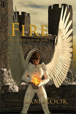 Cover of the book Fire by William Welton
