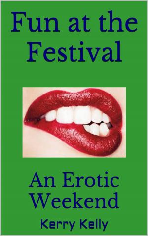 Book cover of Fun at the Festival: An Erotic Weekend