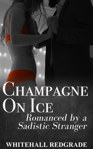 Cover of the book Champagne on Ice: Romanced by a Sadistic Stranger by Dr.Erotic
