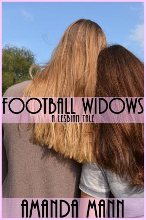 Cover of the book Football Widows by C.A. Huggins