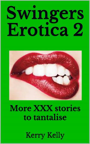 Book cover of Swingers Erotica 2: More XXX Stories to Tantalise