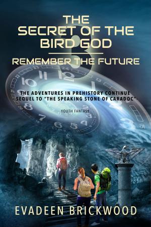 Book cover of The Secret of the Bird God
