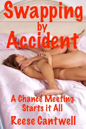 Cover of the book Swapping by Accident: Book One: A Chance Meeting Starts It All by Miranda Lee