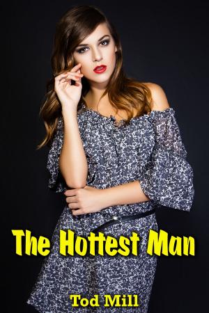 bigCover of the book The Hottest Man by 