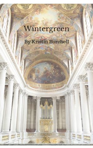 Cover of the book Wintergreen by Annette Meyers and Martin Meyers