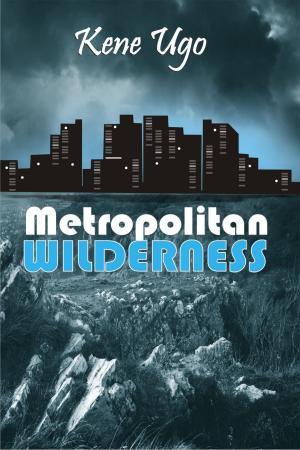 Cover of the book Metropolitan Wilderness by Gérard Muller