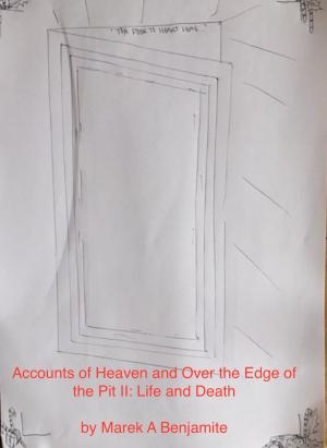 Book cover of Accounts of Heaven and the Edge of the Pit II: Life After Death