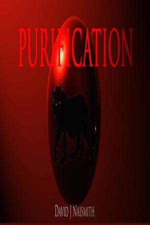 Cover of the book Purification by David Row