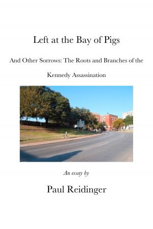 Book cover of Left at the Bay of Pigs and Other Sorrows: The Roots and Branches of the Kennedy Assassination
