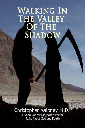 Cover of the book Walking In The Valley Of The Shadow by John R. E Chastain