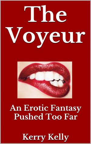 Book cover of The Voyeur: An Erotic Fantasy Pushed Too Far