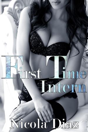 bigCover of the book First Time Intern! by 