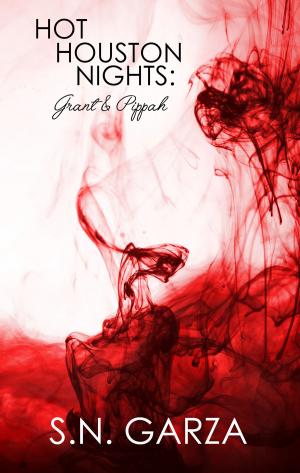 Cover of the book Hot Houston Nights: Grant & Pippah Boxset by S. N. Garza