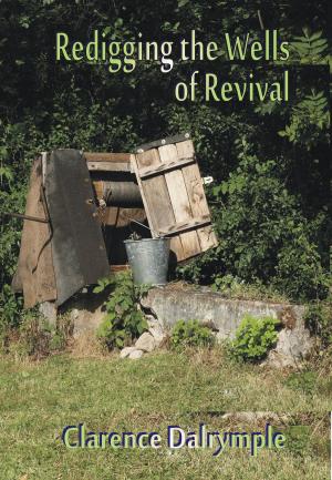 Cover of the book Redigging the Wells of Revival by Rein Johnson