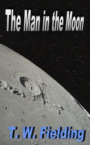 Cover of the book The Man in the Moon by Stefan Lochner