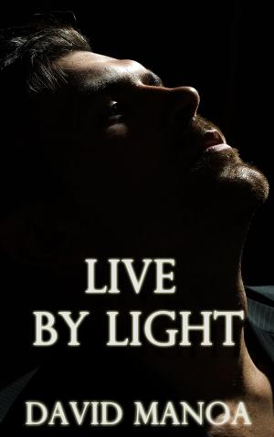 Cover of the book Live by Light by David Manoa
